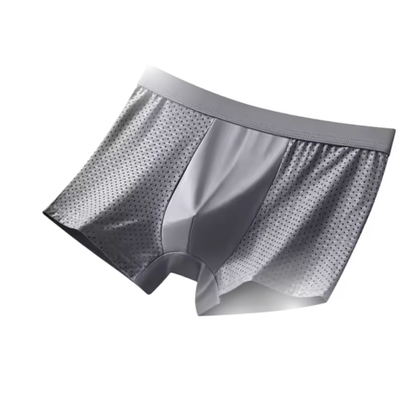 בוקסר הדגל שלנו