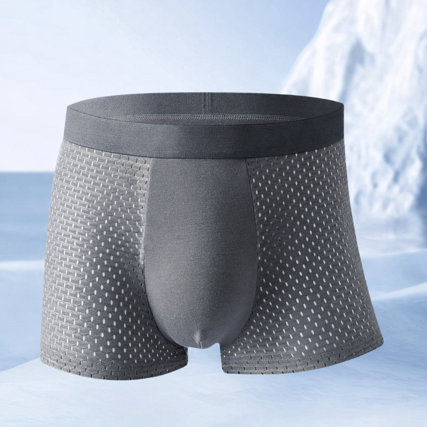 בוקסר הדגל שלנו