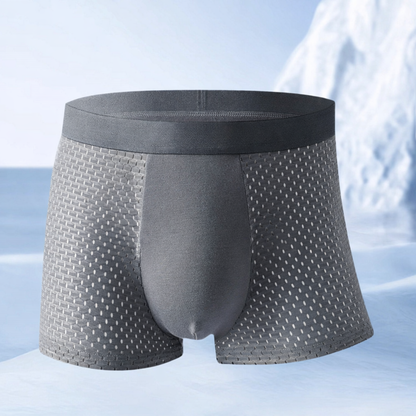 בוקסר הדגל שלנו