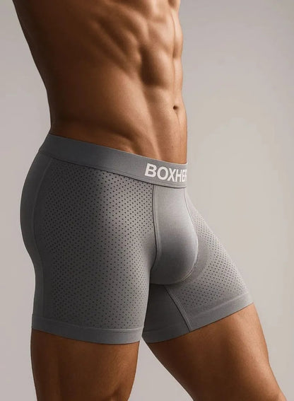 בוקסר הדגל שלנו